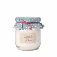 Bougie parfumée Cèdre du Liban 🌲